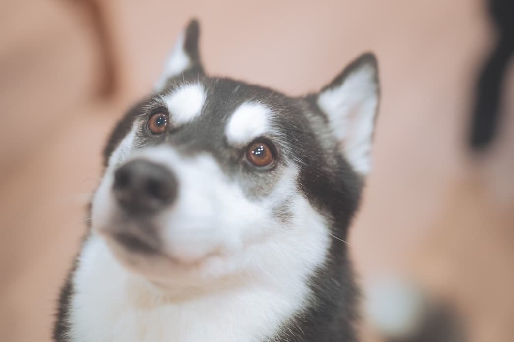 ヒーローイメージ02