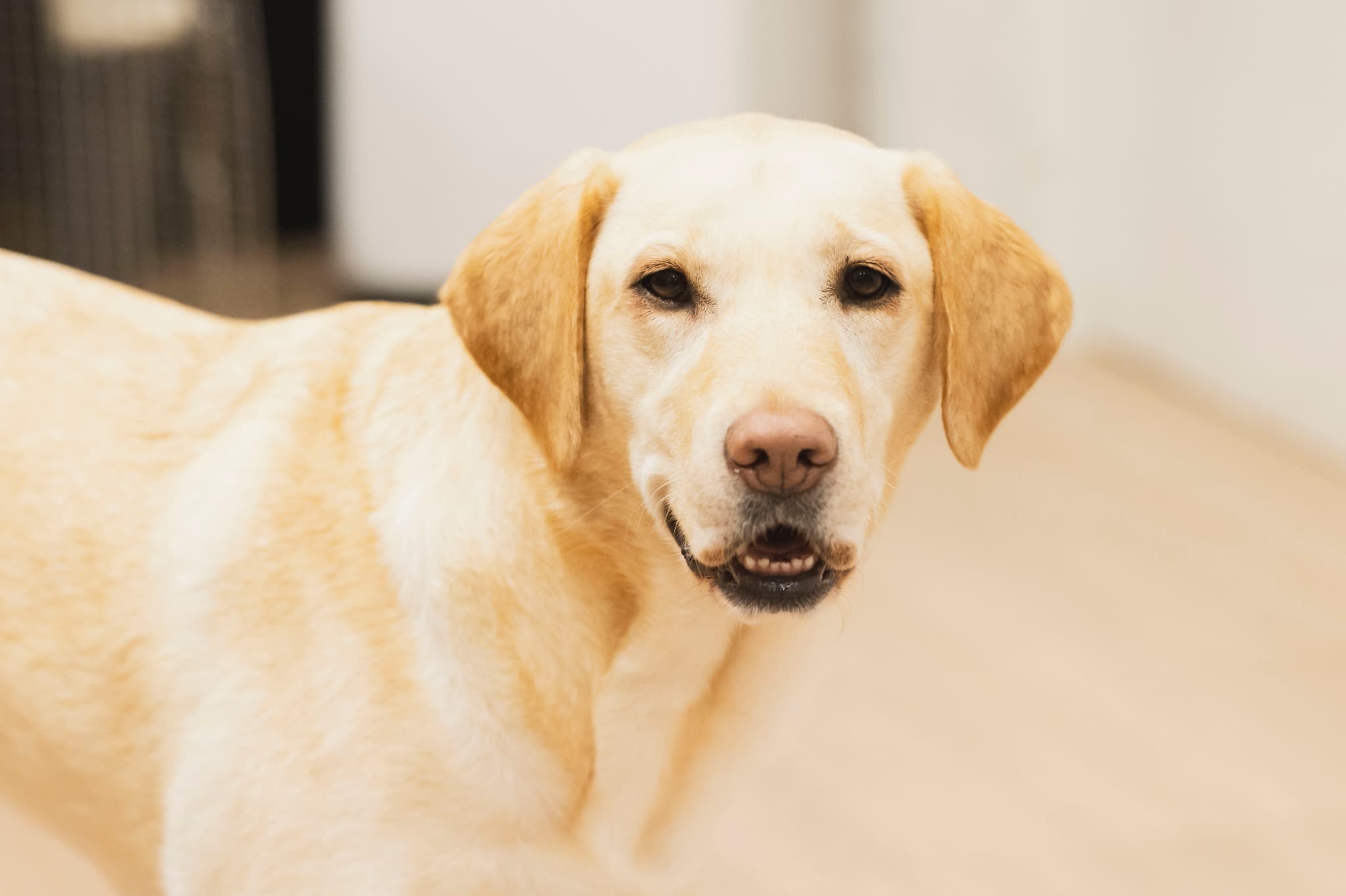 ヒーローイメージ04